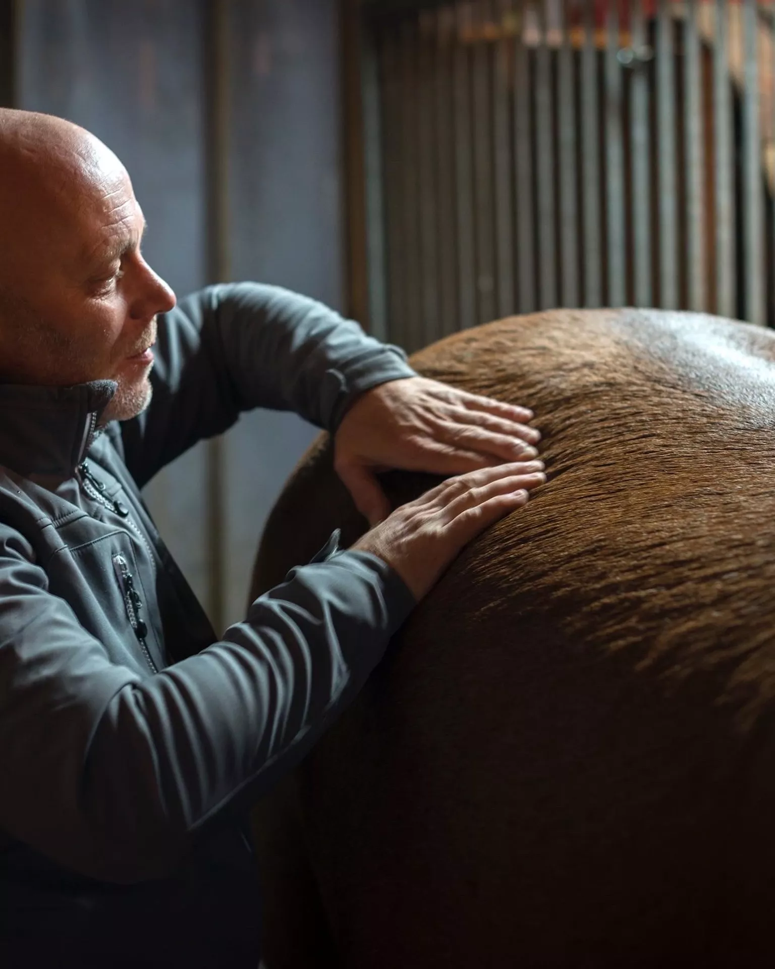 massages-chevaux-marc-moureaux-presentation