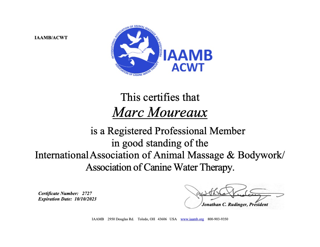 2022 - International Association of Animal Massage & Bodywork Marc Moureaux