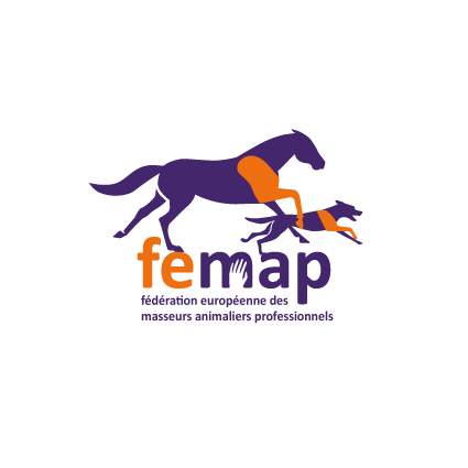 LOGO-FEMAP-DEF-sans-cadre
